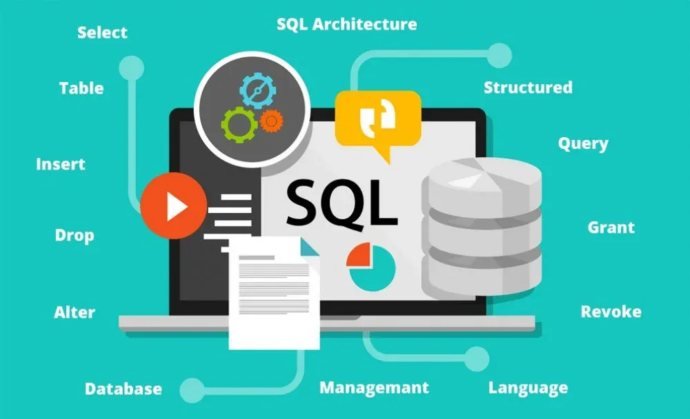 كيف تختار قاعدة البيانات لمشروعك؟
